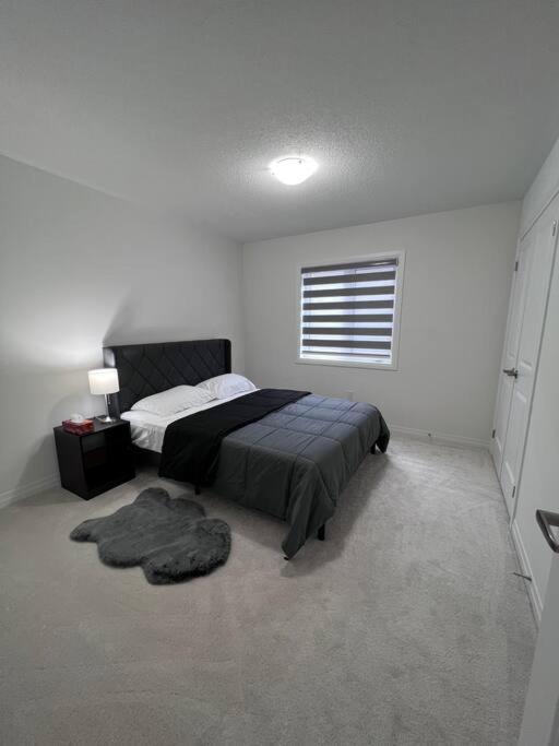 Brand New 4 Bedroom Villa By Hamilton Airport! Exterior foto